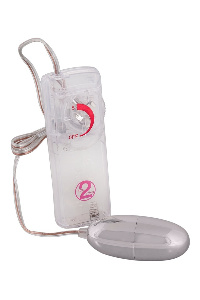 Vibro ei vibrator met afstandsbediening en traploze vibratie