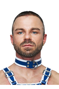 Mister b leather circuit collar blue-white
