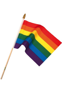 Pride regenboogvlag op stok small