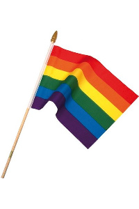Gay pride rainbow flag on stick small