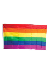Pride regenboog vlag 90 x 150 cm