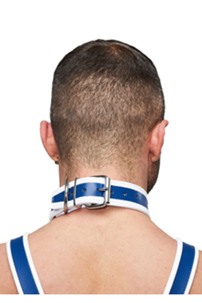 Mister b leather circuit collar blue-white - afbeelding 2